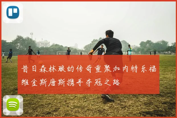 昔日森林狼的传奇重聚加内特乐福维金斯唐斯携手夺冠之路