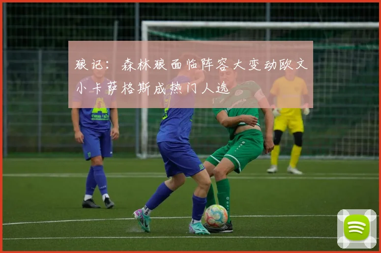 狼记：森林狼面临阵容大变动欧文小卡萨格斯成热门人选