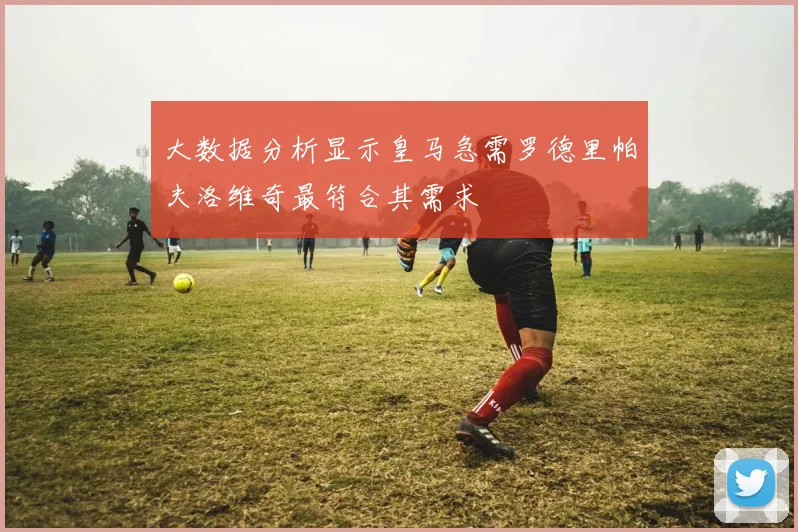 大数据分析显示皇马急需罗德里帕夫洛维奇最符合其需求